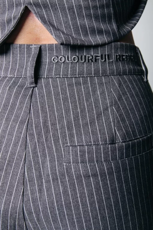 Women Colourful Rebel Cora Stripe Pants | Dark Gray