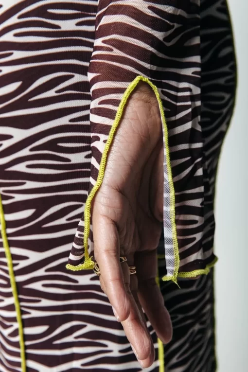 Women Colourful Rebel Maude Zebra Mesh Dress | Dark Brown