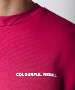 Men Colourful Rebel Uni Logo Sweat | Burgundy