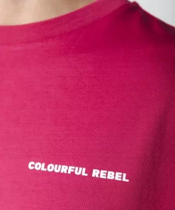 Men Colourful Rebel Uni Logo Tee | Burgundy